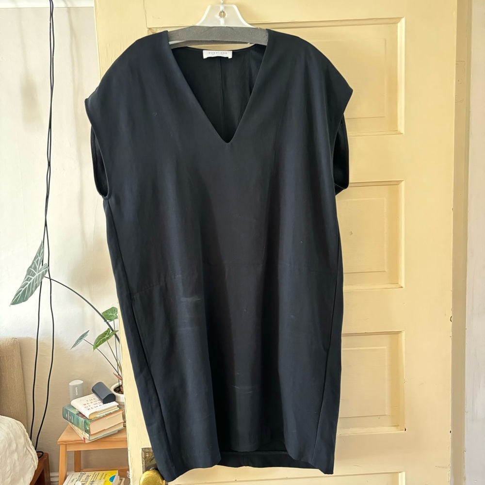 Everlane Japanese weave dress.